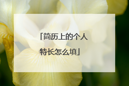 简历上的个人特长怎么填