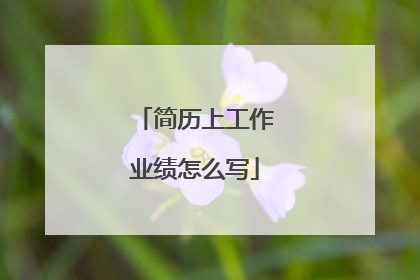 简历上工作业绩怎么写