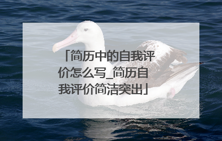 简历中的自我评价怎么写_简历自我评价简洁突出