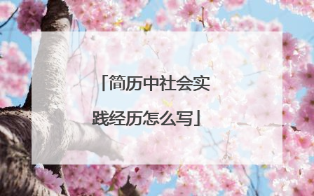 简历中社会实践经历怎么写