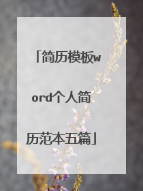 简历模板word个人简历范本五篇
