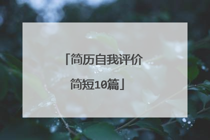 简历自我评价简短10篇