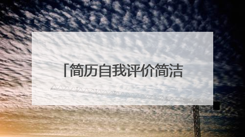 简历自我评价简洁大气20个字(简历自我评价20字)