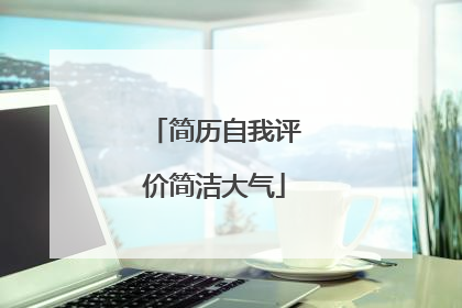 简历自我评价简洁大气