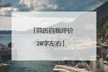 简历自我评价20字左右