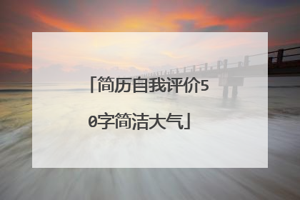 简历自我评价50字简洁大气