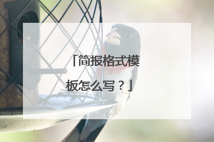 简报格式模板怎么写?