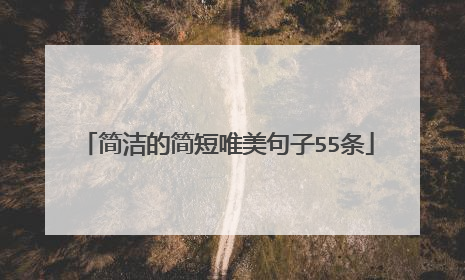 简洁的简短唯美句子55条