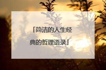 简洁的人生经典的哲理语录