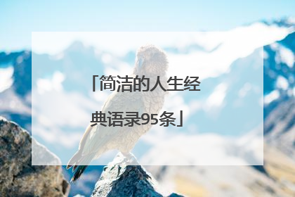 简洁的人生经典语录95条