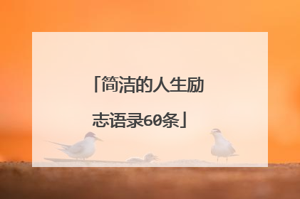 简洁的人生励志语录60条