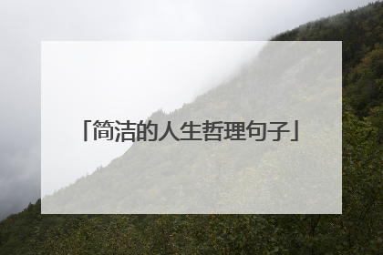 简洁的人生哲理句子