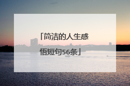 简洁的人生感悟短句56条