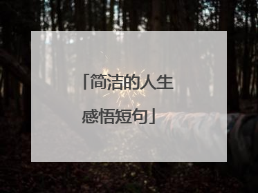 简洁的人生感悟短句