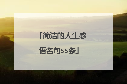 简洁的人生感悟名句55条