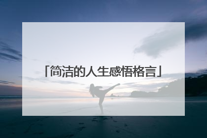 简洁的人生感悟格言