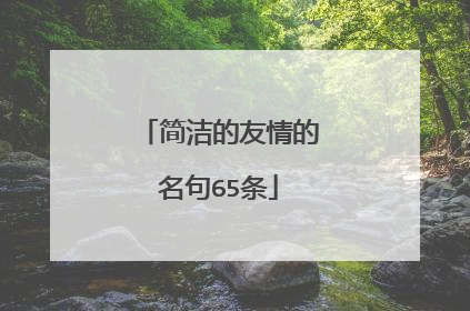 简洁的友情的名句65条