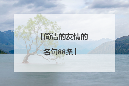 简洁的友情的名句88条