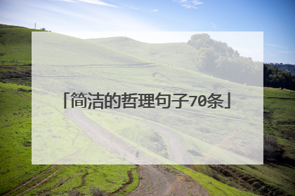 简洁的哲理句子70条