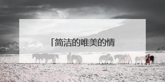 简洁的唯美的情感句子65条