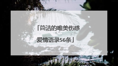 简洁的唯美伤感爱情语录56条