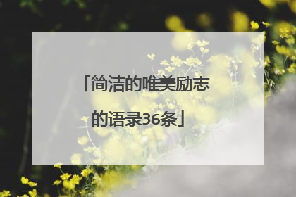 简洁的唯美励志的语录36条