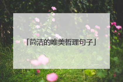 简洁的唯美哲理句子