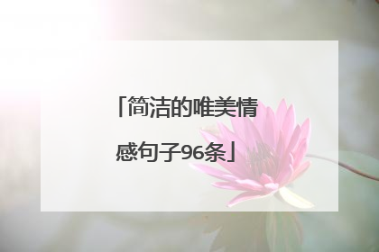 简洁的唯美情感句子96条