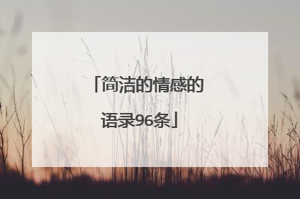 简洁的情感的语录96条