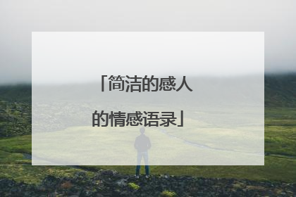 简洁的感人的情感语录