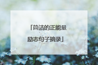 简洁的正能量励志句子摘录