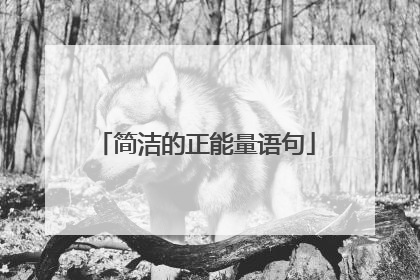 简洁的正能量语句