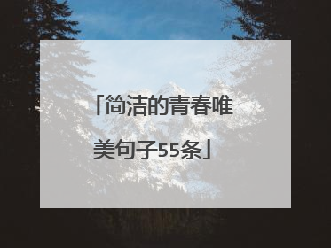 简洁的青春唯美句子55条