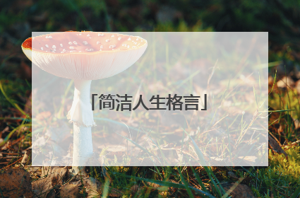 简洁人生格言