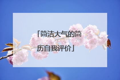 简洁大气的简历自我评价