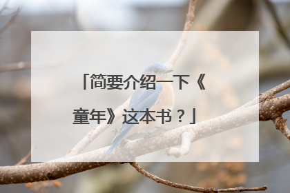 简要介绍一下《童年》这本书?