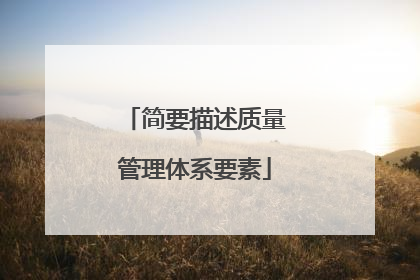 简要描述质量管理体系要素