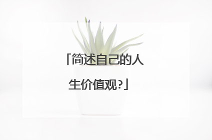 简述自己的人生价值观?