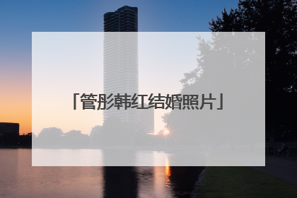 管彤韩红结婚照片
