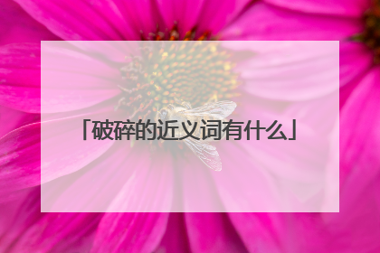 破碎的近义词有什么
