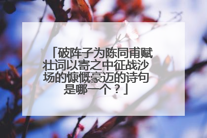 破阵子为陈同甫赋壮词以寄之中征战沙场的慷慨豪迈的诗句是哪一个？