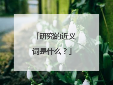 研究的近义词是什么?