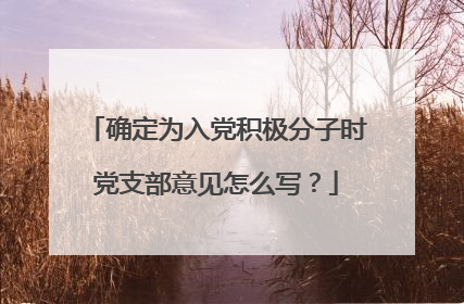 确定为入党积极分子时党支部意见怎么写?