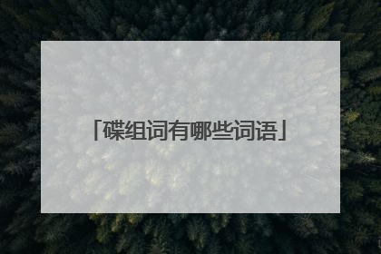 碟组词有哪些词语