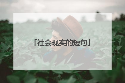 社会现实的短句