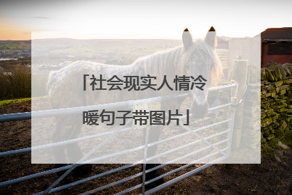 社会现实人情冷暖句子带图片