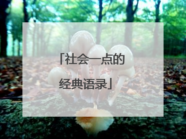 社会一点的经典语录