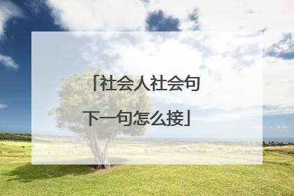 社会人社会句下一句怎么接