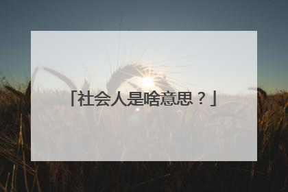社会人是啥意思?