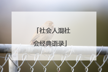 社会人混社会经典语录